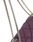 CHANEL 2008–2009 Matelassé Quilted Chain Shoulder Bag
