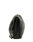 CHANEL 2012-2013 Matelasse Caviar Skin Coco Mark Chain Shoulder Bag