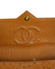CHANEL 2000–2002 Coco Mark Chain Ostrich Shoulder Bag
