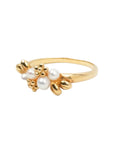 TASAKI K18 Pearl (Main Stone: 3.3-3.5mm) 3.8g Ring