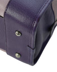LOEWE Amazona Handbag