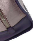 LOEWE Amazona Handbag