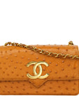 CHANEL 2000–2002 Coco Mark Chain Ostrich Shoulder Bag