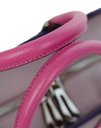 LOEWE Amazona Handbag