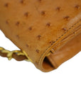 CHANEL 2000–2002 Coco Mark Chain Ostrich Shoulder Bag