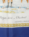 HERMES Silk Scarf Carre 90