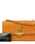 CHANEL 2000–2002 Coco Mark Chain Ostrich Shoulder Bag