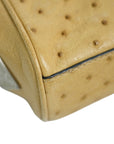 PRADA Ostrich Shoulder Bag/Clutch Bag