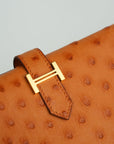HERMES Ostrich Birkin Long Wallet