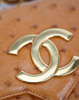 CHANEL 2000–2002 Coco Mark Chain Ostrich Shoulder Bag