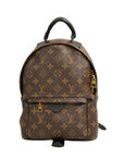 LOUIS VUITTON Monogram Palm Springs PM Backpack M44871