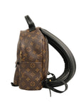 LOUIS VUITTON Monogram Palm Springs PM Backpack M44871