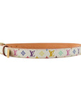 LOUIS VUITTON Multicolor Belt