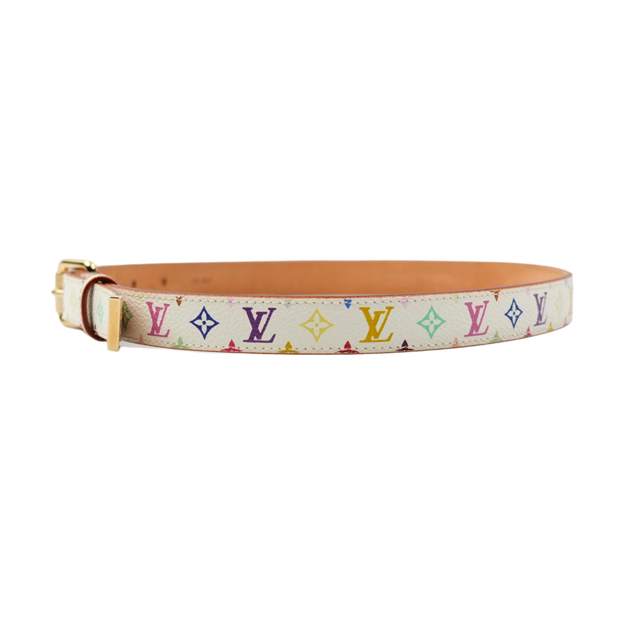 LOUIS VUITTON Multicolor Belt
