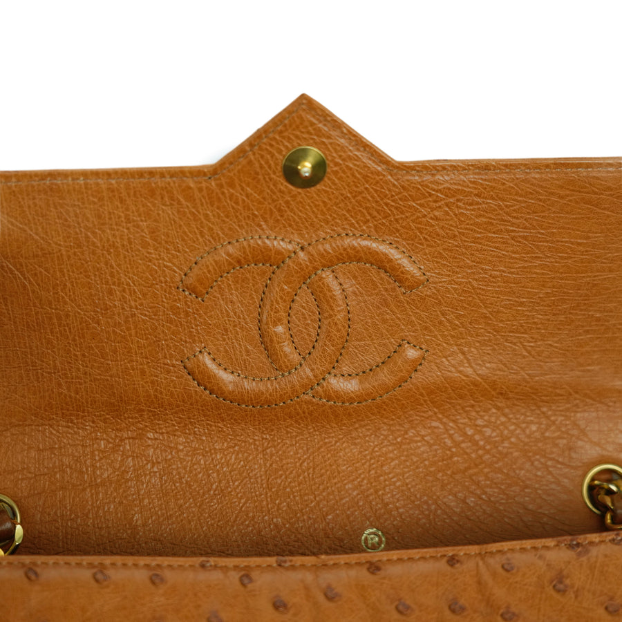 CHANEL 2000–2002 Coco Mark Chain Ostrich Shoulder Bag