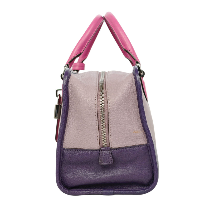 LOEWE Amazona Handbag