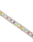 LOUIS VUITTON Multicolor Belt