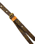 LOUIS VUITTON Monogram Amazon M45236 Shoulder Bag