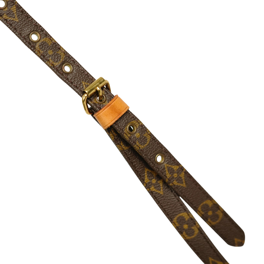 LOUIS VUITTON Monogram Amazon M45236 Shoulder Bag