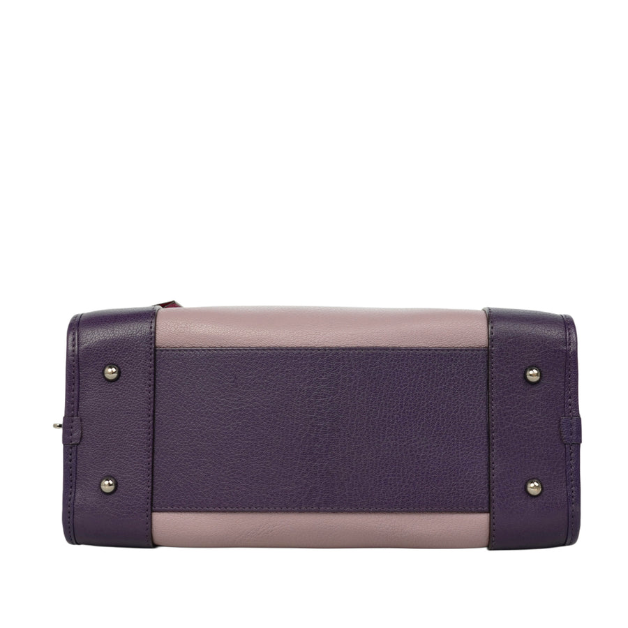 LOEWE Amazona Handbag