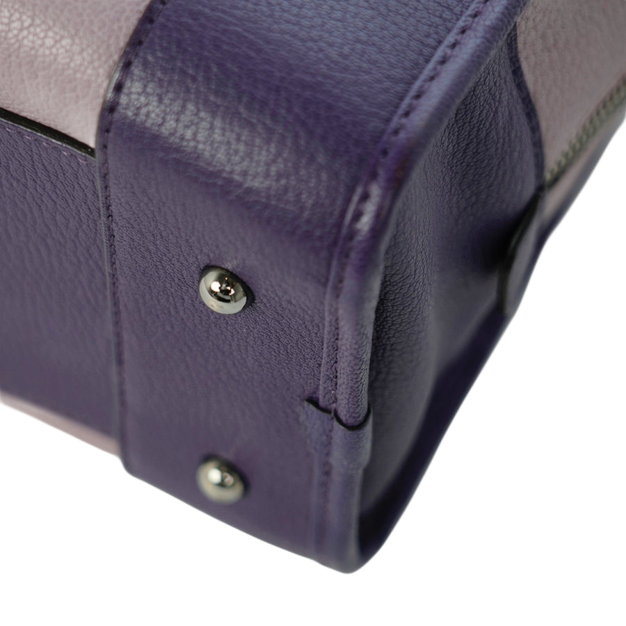 LOEWE Amazona Handbag