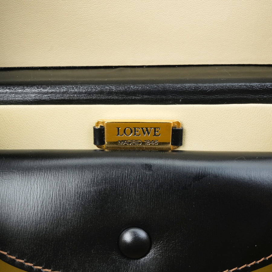 LOEWE Mini Box Vanity Handbag
