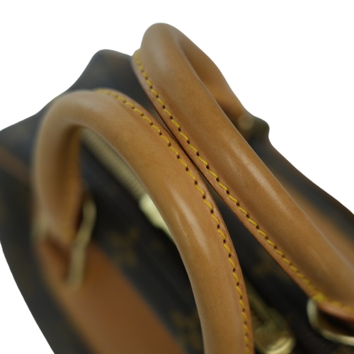 LOUIS VUITTON Monogram Truville Handbag M42228