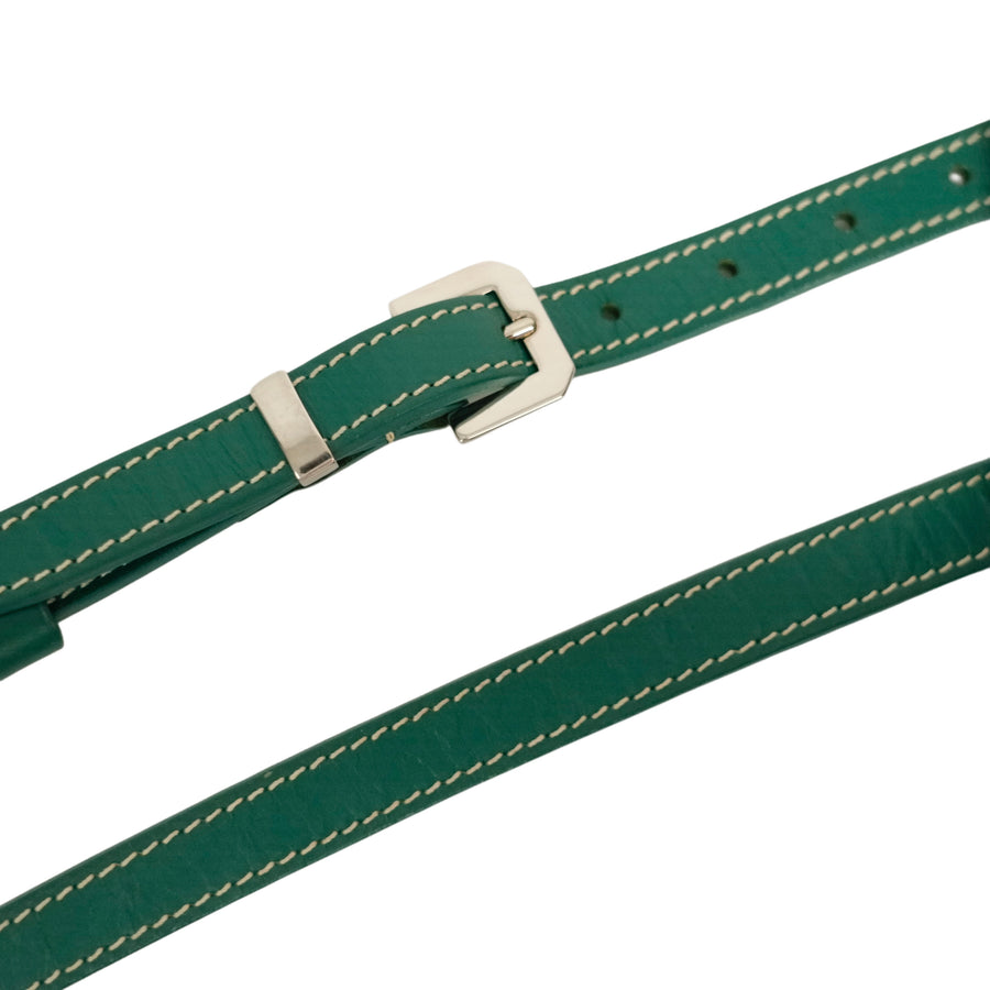 GOYARD Cap Vert PM Shoulder Bag