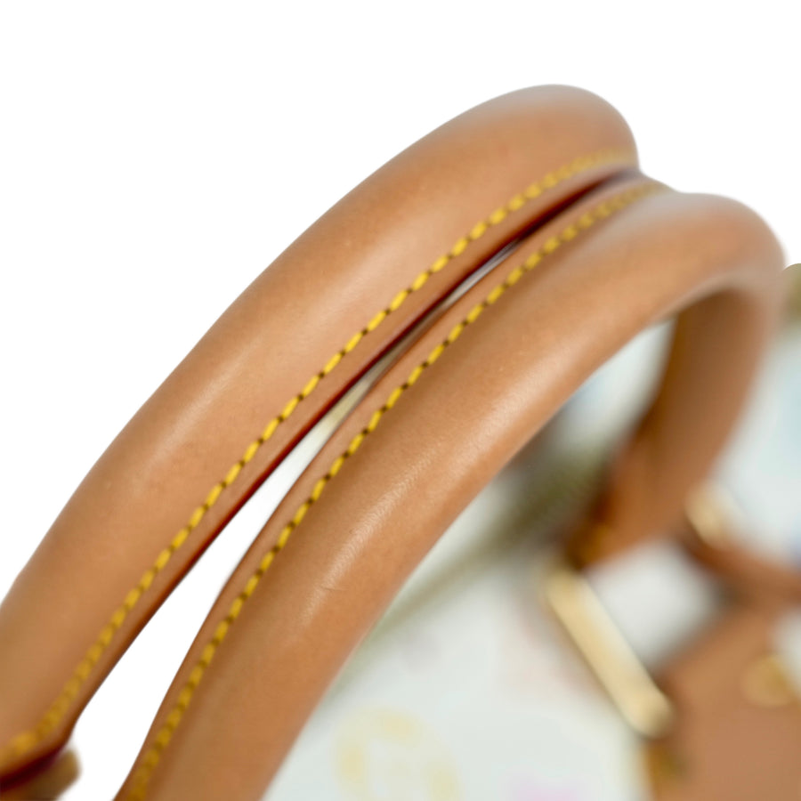 LOUIS VUITTON Monogram Multicolor Speedy 30 M92643