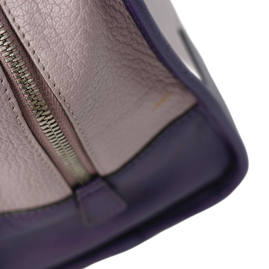 LOEWE Amazona Handbag
