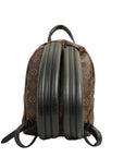 LOUIS VUITTON Monogram Palm Springs PM Backpack M44871