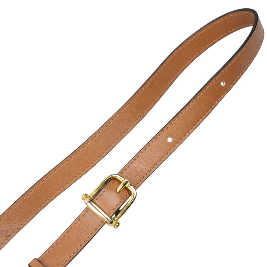 CELINE Triomphe Canvas Shoulder Bag