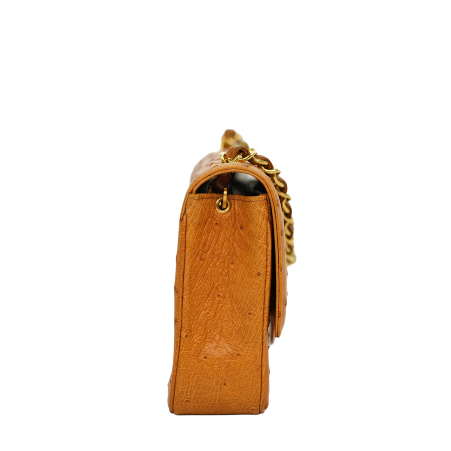 CHANEL 2000–2002 Coco Mark Chain Ostrich Shoulder Bag