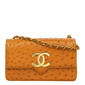 CHANEL 2000–2002 Coco Mark Chain Ostrich Shoulder Bag