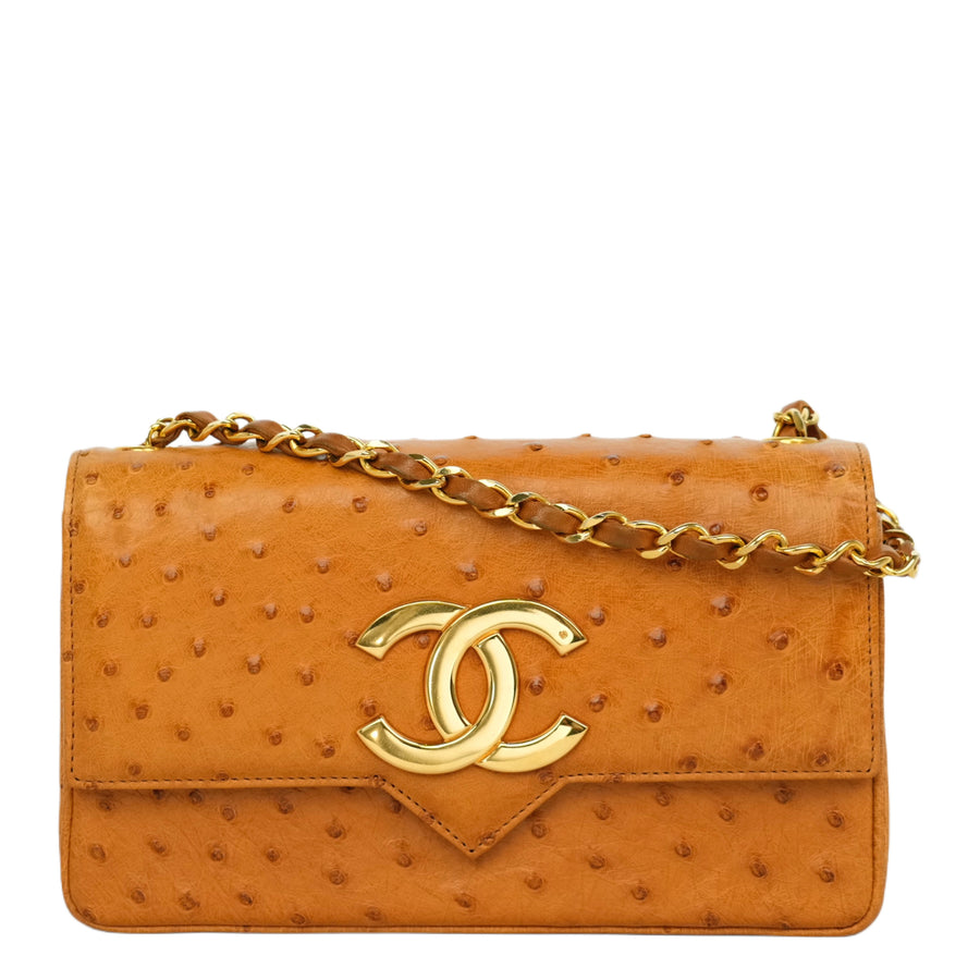 CHANEL 2000–2002 Coco Mark Chain Ostrich Shoulder Bag