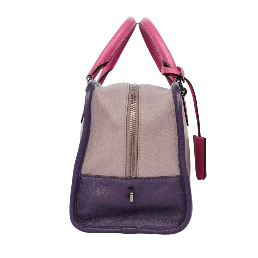 LOEWE Amazona Handbag