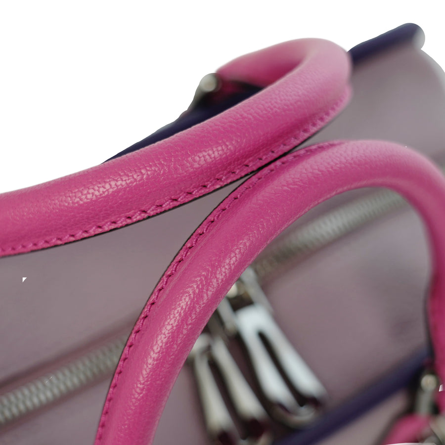 LOEWE Amazona Handbag