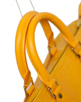LOUIS VUITTON Epi Speedy 25 Handbag M43019