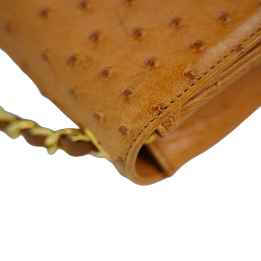 CHANEL 2000–2002 Coco Mark Chain Ostrich Shoulder Bag