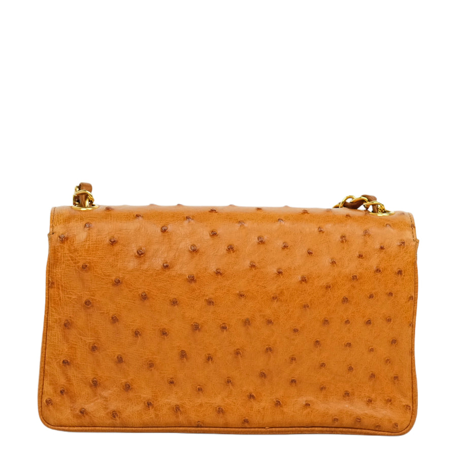 CHANEL 2000–2002 Coco Mark Chain Ostrich Shoulder Bag