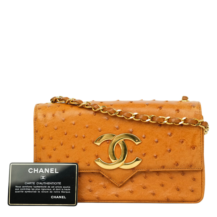 CHANEL 2000–2002 Coco Mark Chain Ostrich Shoulder Bag