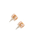 HERMES Pop H Earrings