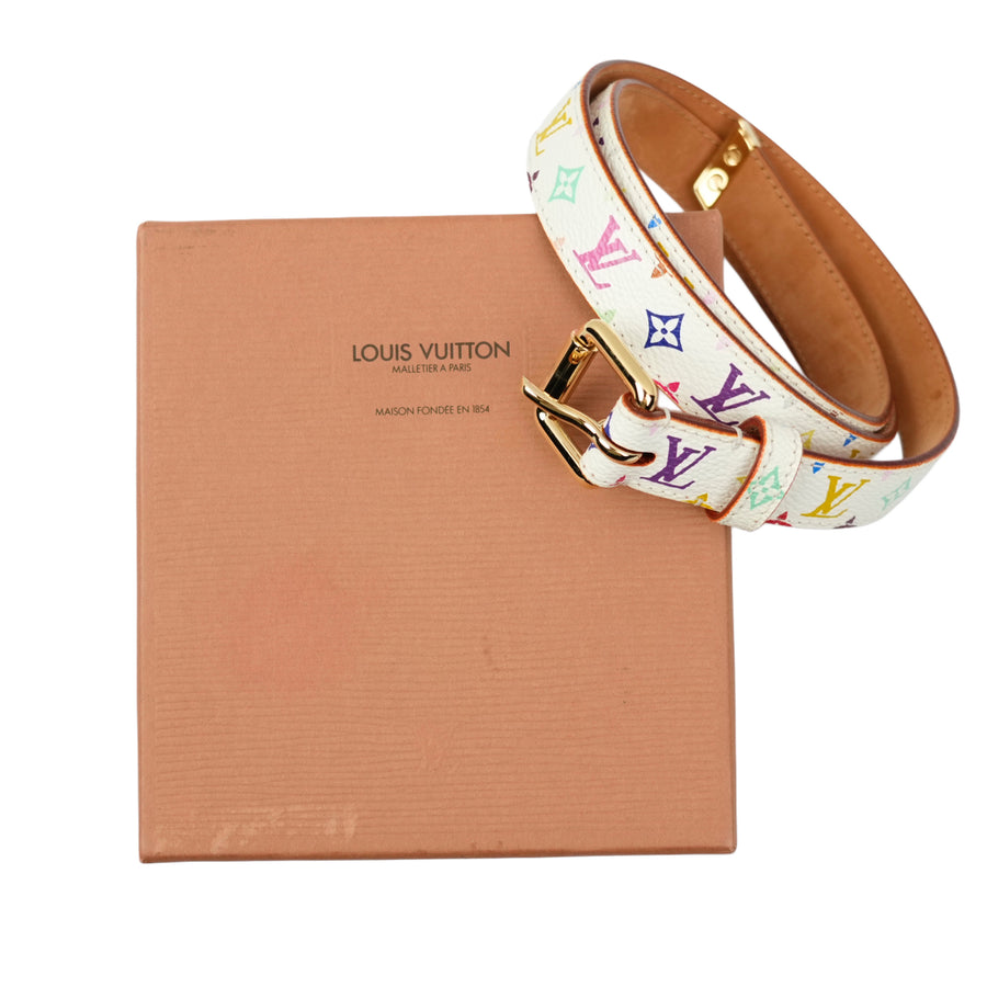 LOUIS VUITTON Multicolor Belt
