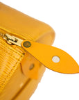 LOUIS VUITTON Epi Speedy 25 Handbag M43019