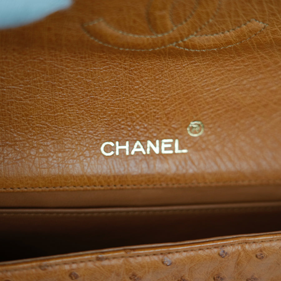 CHANEL 2000–2002 Coco Mark Chain Ostrich Shoulder Bag