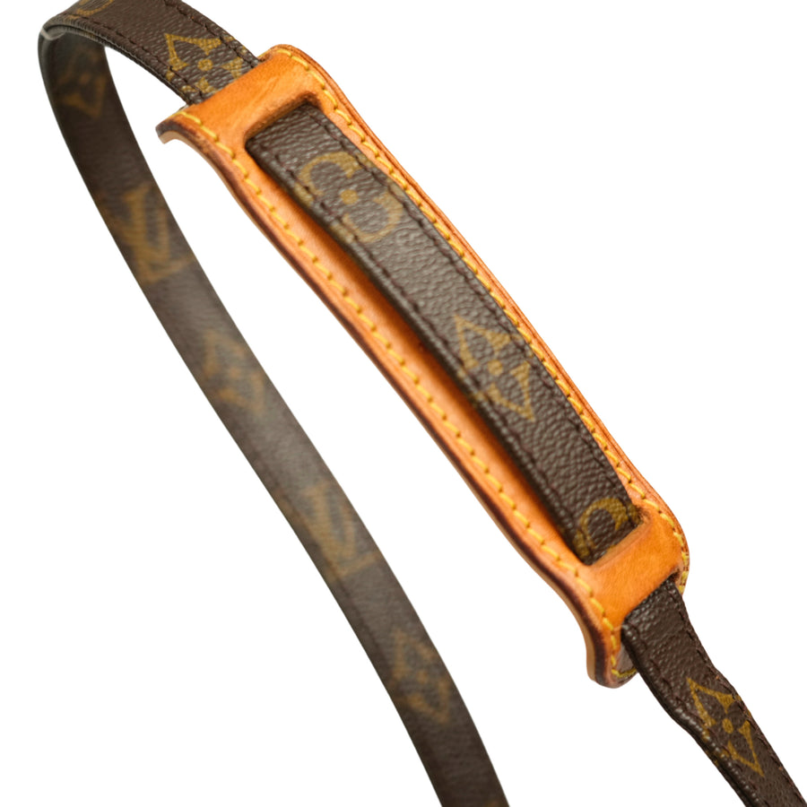 LOUIS VUITTON Monogram Amazon M45236 Shoulder Bag