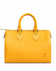 LOUIS VUITTON Epi Speedy 25 Handbag M43019
