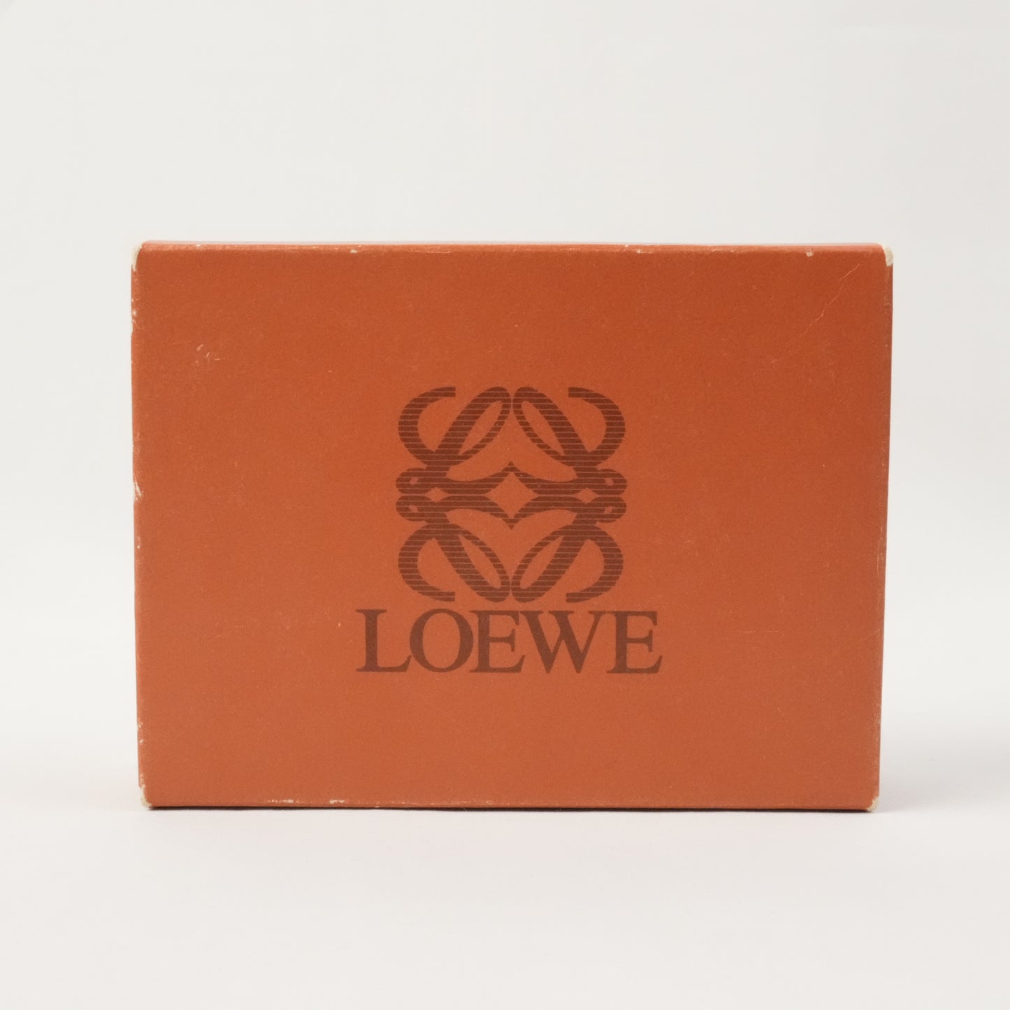 LOEWE Pouch