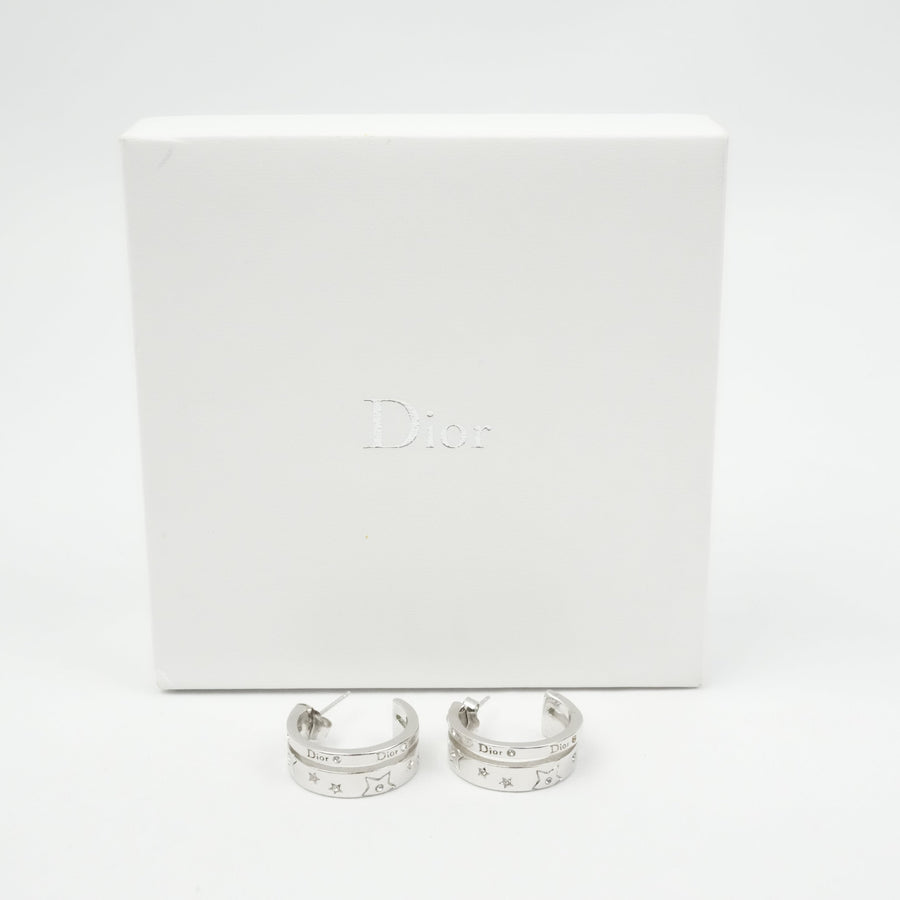CHRISTIAN DIOR Earring