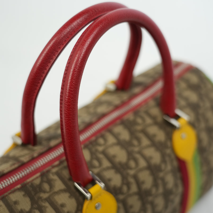 CHRISTIAN DIOR Rasta Line Handbag